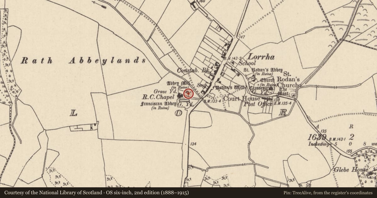 Ordnance Survey six-inch map, 2nd edition (1888–1915) covering the location of Water mill - unclassified, Lorrha, County Tipperary North, with a pin at the register's coordinates
