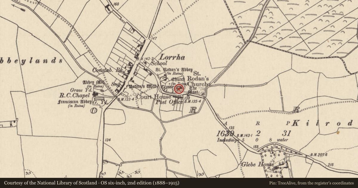 Ordnance Survey six-inch map, 2nd edition (1888–1915) covering the location of Church, Lorrha, County Tipperary North, with a pin at the register's coordinates