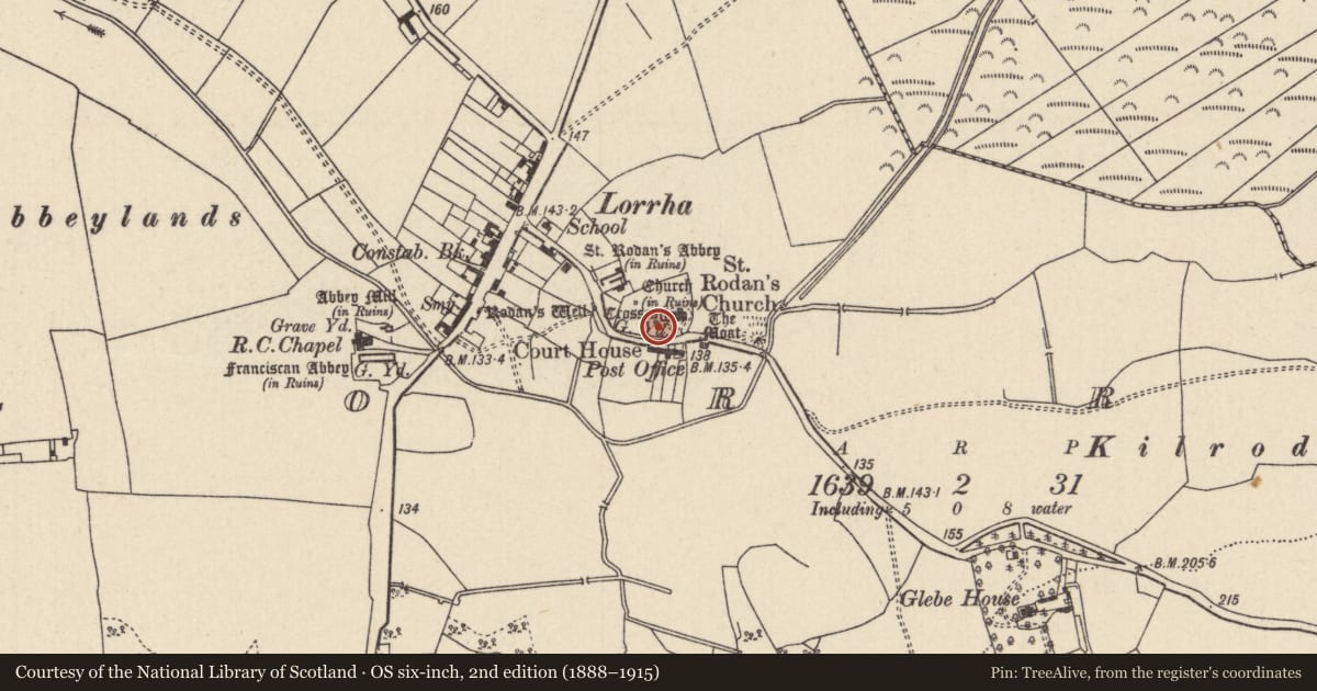 Ordnance Survey six-inch map, 2nd edition (1888–1915) covering the location of Cross - High cross, Lorrha, County Tipperary North, with a pin at the register's coordinates