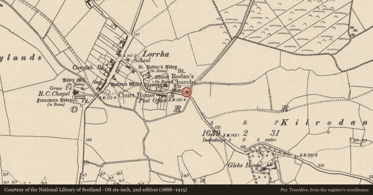 Ordnance Survey six-inch map, 2nd edition (1888–1915) covering the location of Castle - motte and bailey, Lorrha, County Tipperary North, with a pin at the register's coordinates
