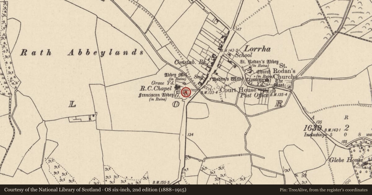 Ordnance Survey six-inch map, 2nd edition (1888–1915) covering the location of Wall monument, Lorrha, County Tipperary North, with a pin at the register's coordinates