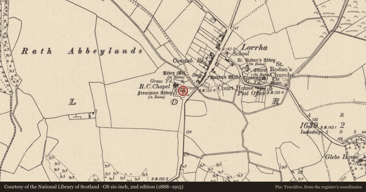 Ordnance Survey six-inch map, 2nd edition (1888–1915) covering the location of Graveslab, Lorrha, County Tipperary North, with a pin at the register's coordinates