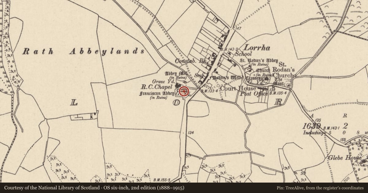 Ordnance Survey six-inch map, 2nd edition (1888–1915) covering the location of Graveslab, Lorrha, County Tipperary North, with a pin at the register's coordinates