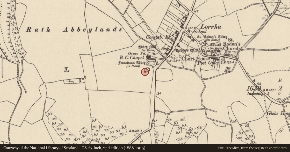 Ordnance Survey six-inch map, 2nd edition (1888–1915) covering the location of Field system, Lorrha, County Tipperary North, with a pin at the register's coordinates