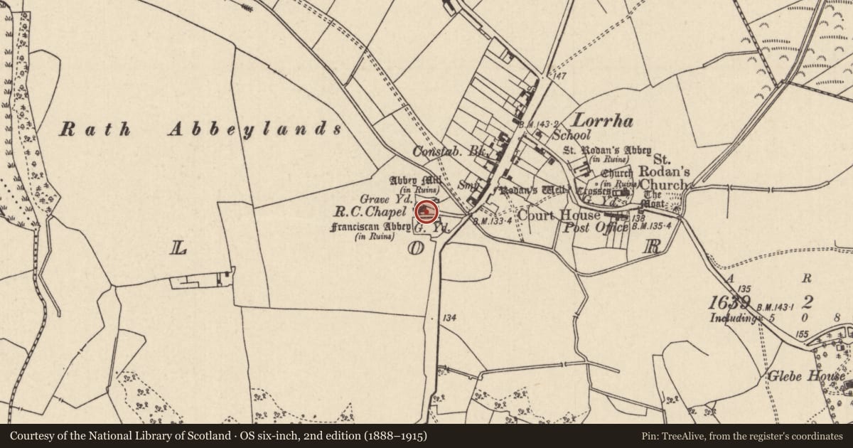 Ordnance Survey six-inch map, 2nd edition (1888–1915) covering the location of Stone head, Lorrha, County Tipperary North, with a pin at the register's coordinates
