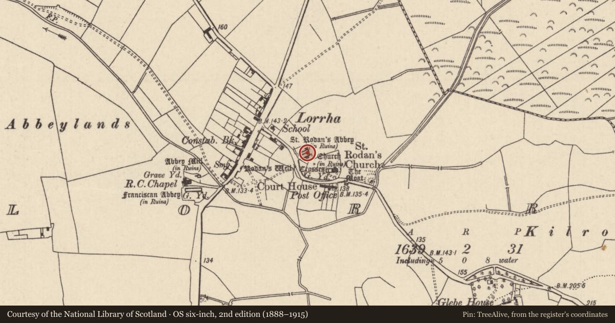 Ordnance Survey six-inch map, 2nd edition (1888–1915) covering the location of Cross-inscribed stone, Lorrha, County Tipperary North, with a pin at the register's coordinates