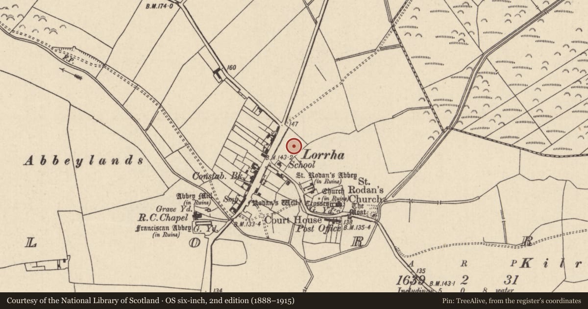 Ordnance Survey six-inch map, 2nd edition (1888–1915) covering the location of Kiln - corn-drying, Lorrha, County Tipperary North, with a pin at the register's coordinates