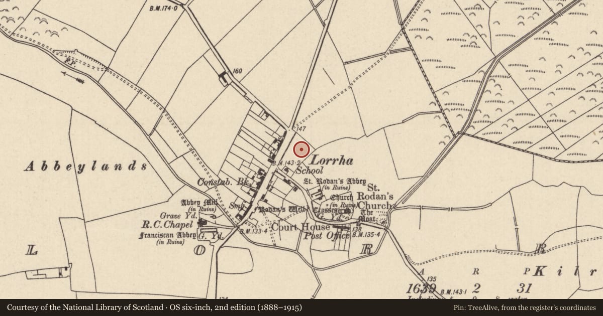 Ordnance Survey six-inch map, 2nd edition (1888–1915) covering the location of Kiln - corn-drying, Lorrha, County Tipperary North, with a pin at the register's coordinates