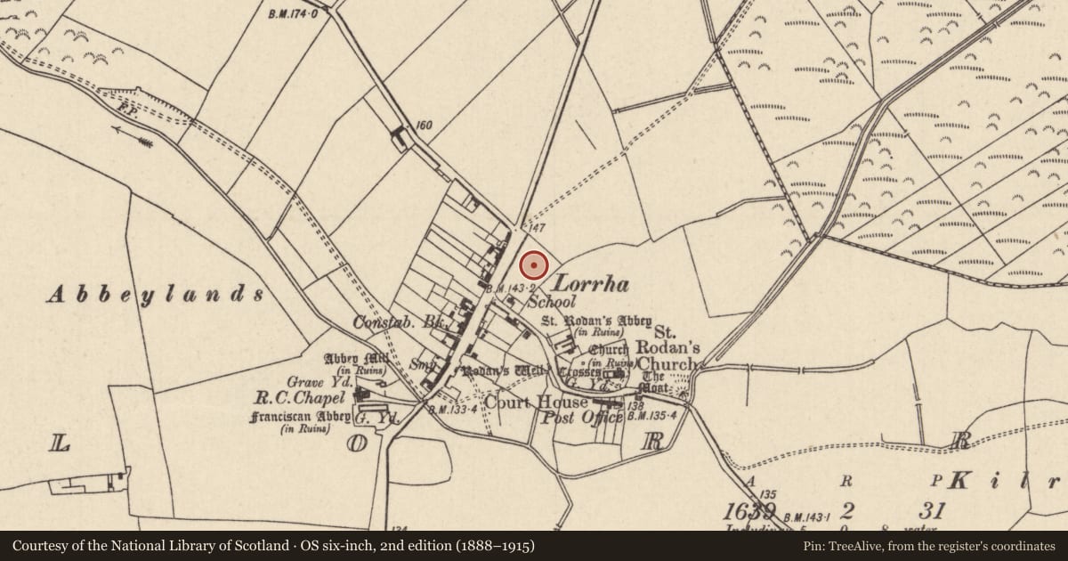 Ordnance Survey six-inch map, 2nd edition (1888–1915) covering the location of Kiln - corn-drying, Lorrha, County Tipperary North, with a pin at the register's coordinates