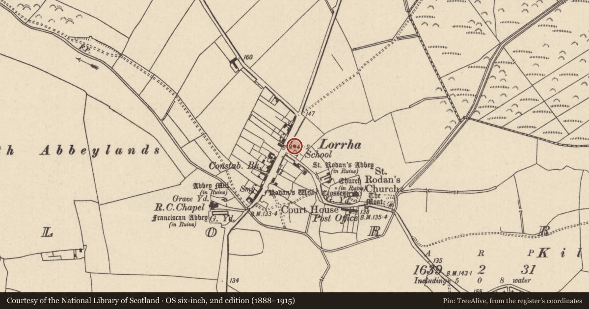 Ordnance Survey six-inch map, 2nd edition (1888–1915) covering the location of Well, Lorrha, County Tipperary North, with a pin at the register's coordinates