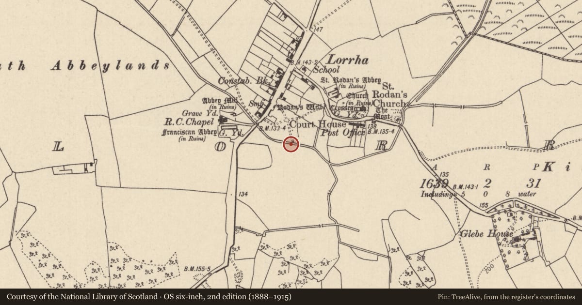 Ordnance Survey six-inch map, 2nd edition (1888–1915) covering the location of Well, Lorrha, County Tipperary North, with a pin at the register's coordinates
