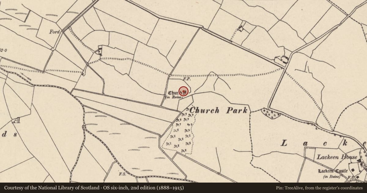 Ordnance Survey six-inch map, 2nd edition (1888–1915) covering the location of Church, Curraghglass (Lorrha Par.), County Tipperary North, with a pin at the register's coordinates