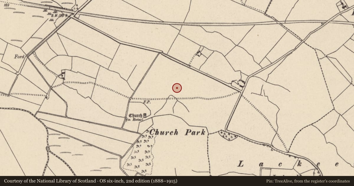 Ordnance Survey six-inch map, 2nd edition (1888–1915) covering the location of Settlement deserted - medieval, Curraghglass (Lorrha Par.), County Tipperary North, with a pin at the register's coordinates