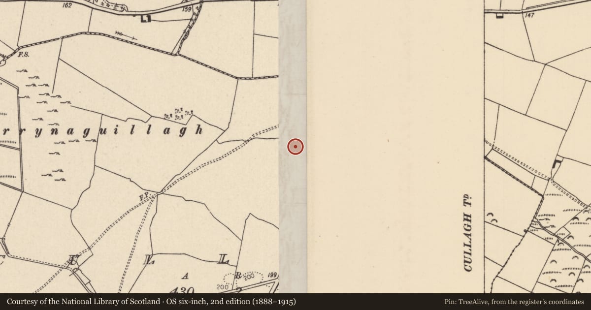Ordnance Survey six-inch map, 2nd edition (1888–1915) covering the location of Enclosure, Cullagh, County Tipperary North, with a pin at the register's coordinates