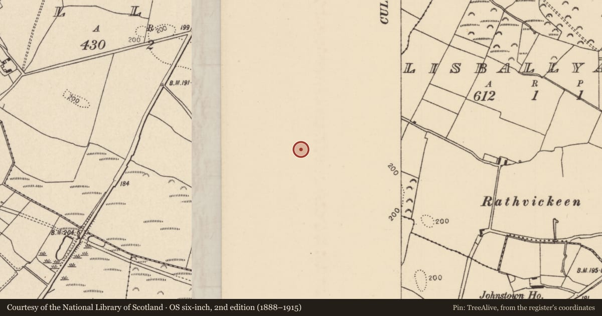 Ordnance Survey six-inch map, 2nd edition (1888–1915) covering the location of Ringfort - rath, Cullagh, County Tipperary North, with a pin at the register's coordinates