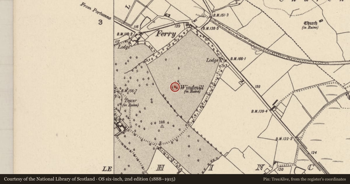 Ordnance Survey six-inch map, 2nd edition (1888–1915) covering the location of Castle - unclassified, Lehinch, County Tipperary North, with a pin at the register's coordinates