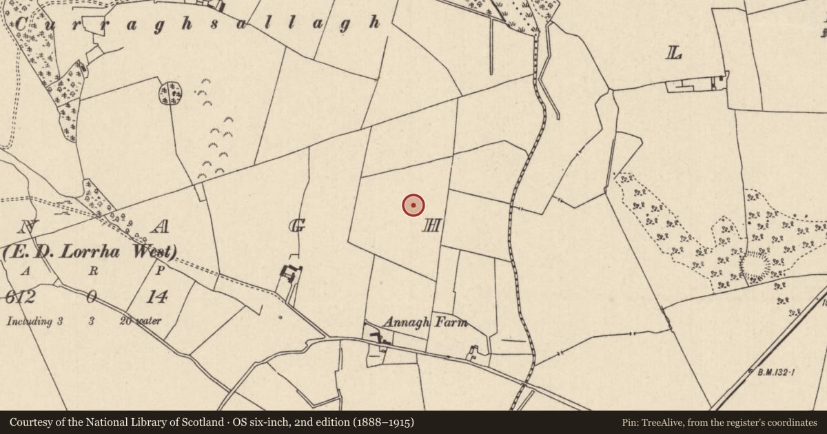 Ordnance Survey six-inch map, 2nd edition (1888–1915) covering the location of Enclosure, Annagh (Lorrha Par.), County Tipperary North, with a pin at the register's coordinates