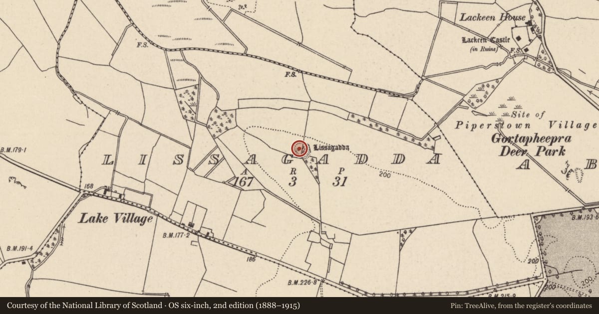 Ordnance Survey six-inch map, 2nd edition (1888–1915) covering the location of Enclosure, Lissagadda, County Tipperary North, with a pin at the register's coordinates