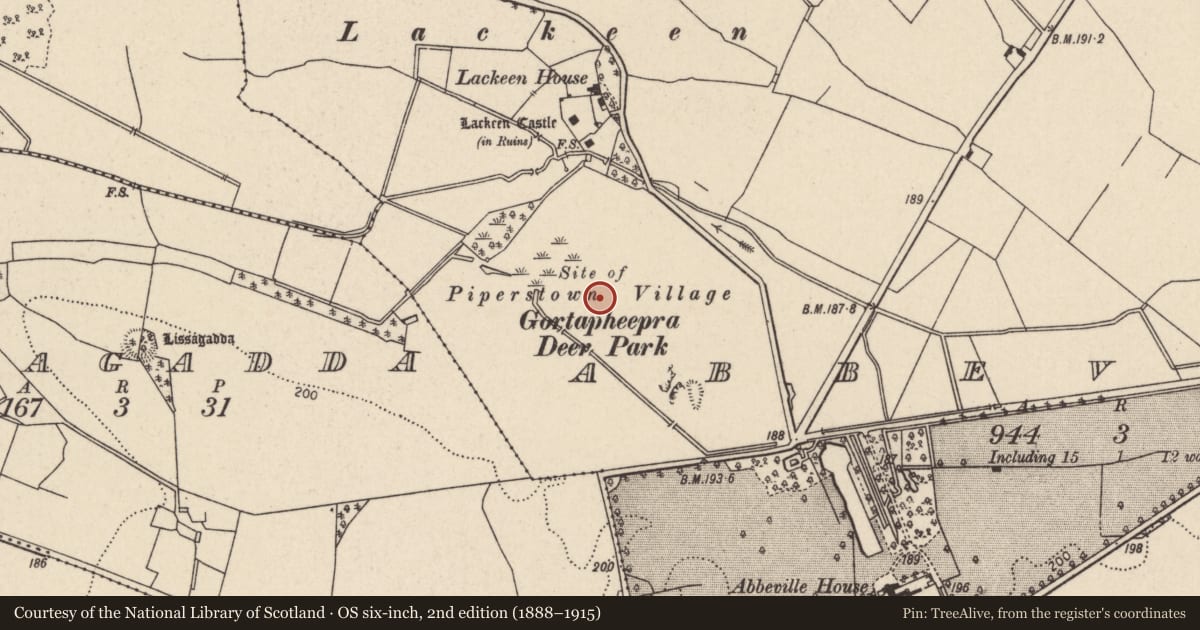 Ordnance Survey six-inch map, 2nd edition (1888–1915) covering the location of Settlement deserted - medieval, Abbeville, County Tipperary North, with a pin at the register's coordinates