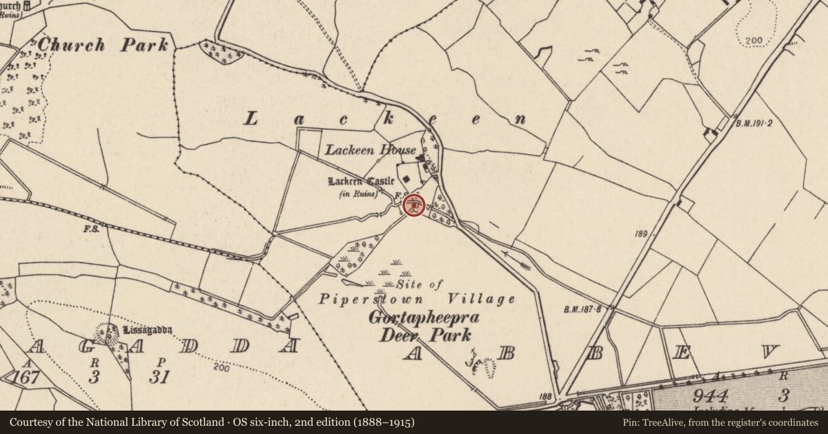 Ordnance Survey six-inch map, 2nd edition (1888–1915) covering the location of Water mill - unclassified, Abbeville, County Tipperary North, with a pin at the register's coordinates