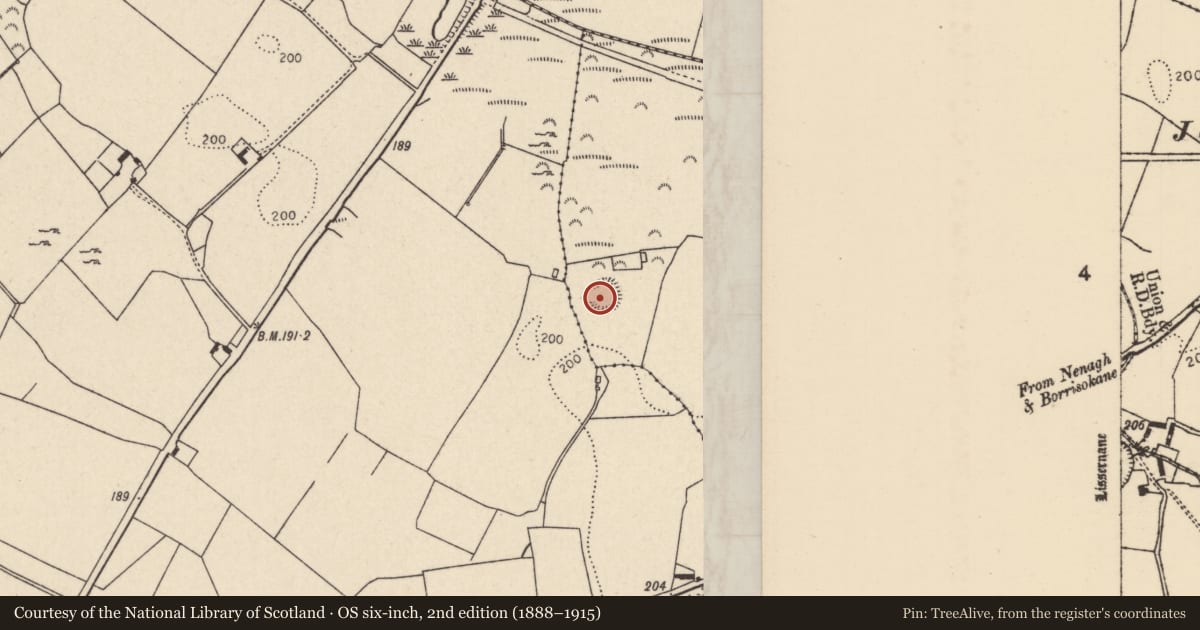 Ordnance Survey six-inch map, 2nd edition (1888–1915) covering the location of Enclosure, Lissernane, County Tipperary North, with a pin at the register's coordinates