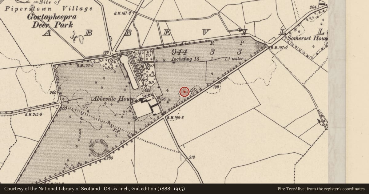 Ordnance Survey six-inch map, 2nd edition (1888–1915) covering the location of Enclosure, Abbeville, County Tipperary North, with a pin at the register's coordinates