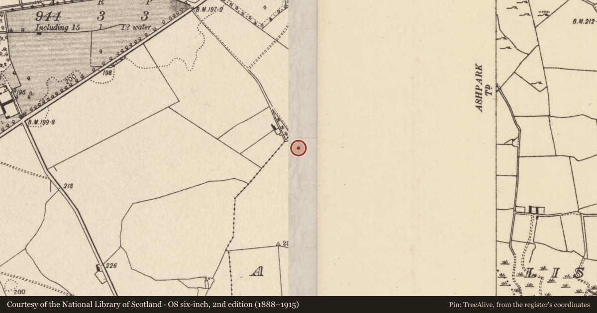 Ordnance Survey six-inch map, 2nd edition (1888–1915) covering the location of Barrow - ring-barrow, Ashpark, County Tipperary North, with a pin at the register's coordinates