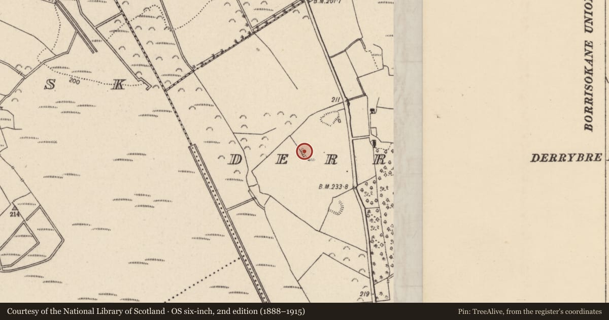 Ordnance Survey six-inch map, 2nd edition (1888–1915) covering the location of Enclosure, Derrybreen, County Tipperary North, with a pin at the register's coordinates