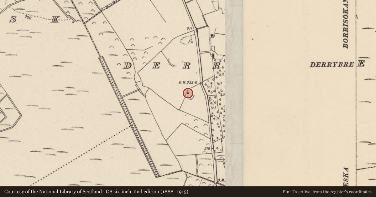 Ordnance Survey six-inch map, 2nd edition (1888–1915) covering the location of Enclosure, Derrybreen, County Tipperary North, with a pin at the register's coordinates