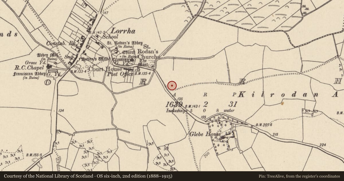Ordnance Survey six-inch map, 2nd edition (1888–1915) covering the location of Linear earthwork, Lorrha, County Tipperary North, with a pin at the register's coordinates