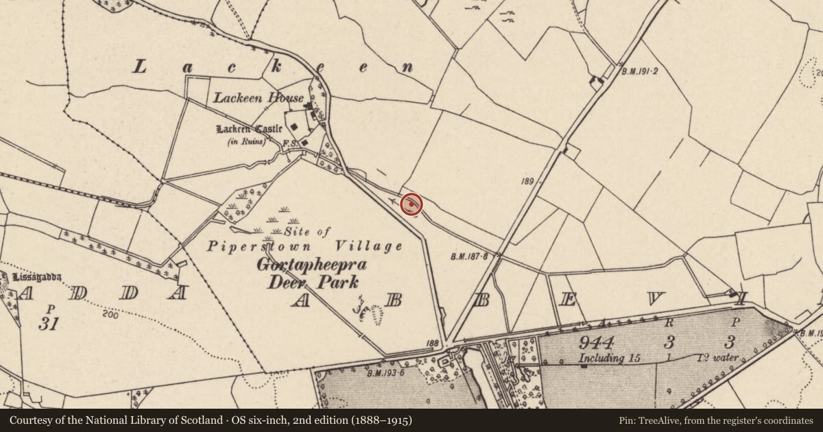 Ordnance Survey six-inch map, 2nd edition (1888–1915) covering the location of Fulacht fia, Abbeville, County Tipperary North, with a pin at the register's coordinates