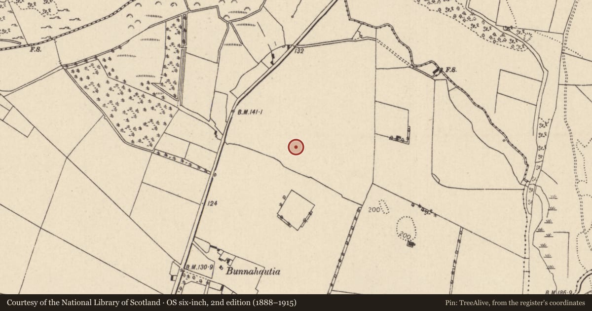 Ordnance Survey six-inch map, 2nd edition (1888–1915) covering the location of Ring-ditch, Ballyquirk, County Tipperary North, with a pin at the register's coordinates