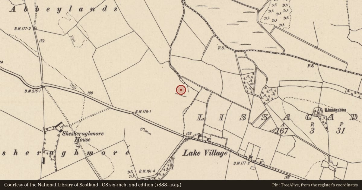 Ordnance Survey six-inch map, 2nd edition (1888–1915) covering the location of Enclosure, Lorrha, County Tipperary North, with a pin at the register's coordinates