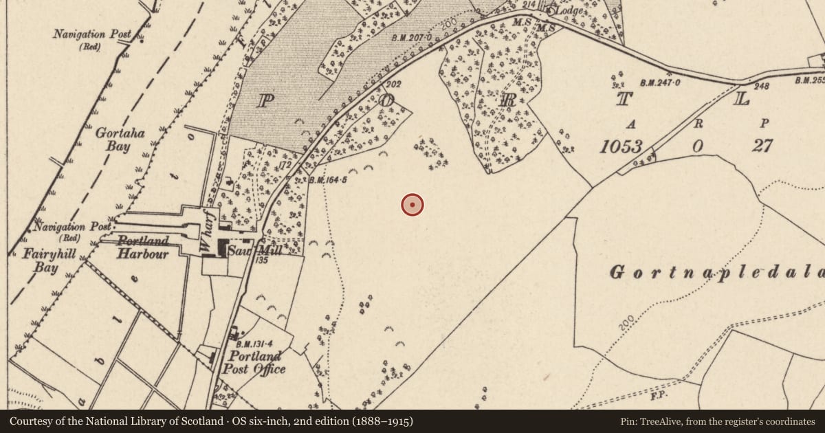 Ordnance Survey six-inch map, 2nd edition (1888–1915) covering the location of Designed landscape feature, Portland, County Tipperary North, with a pin at the register's coordinates
