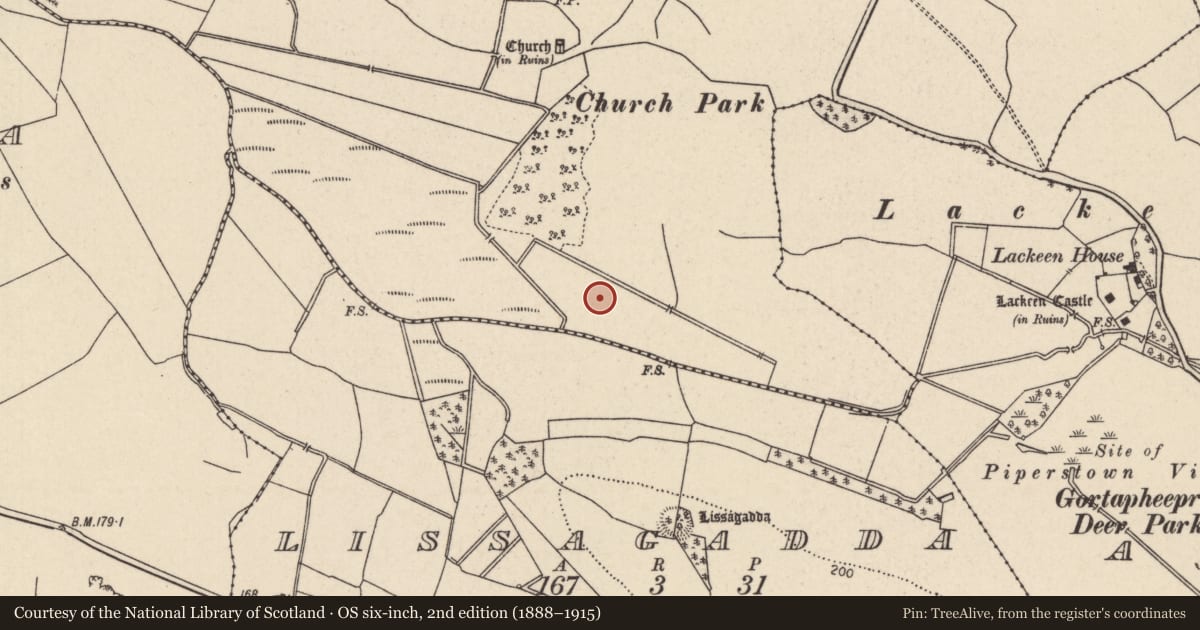 Ordnance Survey six-inch map, 2nd edition (1888–1915) covering the location of Fulacht fia, Curraghglass (Lorrha Par.), County Tipperary North, with a pin at the register's coordinates