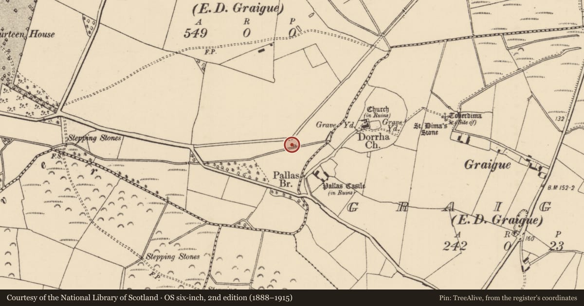 Ordnance Survey six-inch map, 2nd edition (1888–1915) covering the location of Mill - corn, Gurteen (Dorrha Par.), County Tipperary North, with a pin at the register's coordinates