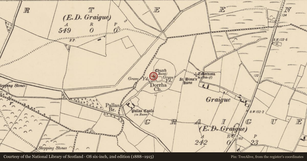 Ordnance Survey six-inch map, 2nd edition (1888–1915) covering the location of Church, Graigue (Dorrha Par.), County Tipperary North, with a pin at the register's coordinates