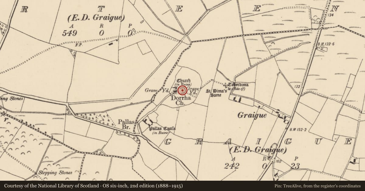 Ordnance Survey six-inch map, 2nd edition (1888–1915) covering the location of Graveyard, Graigue (Dorrha Par.), County Tipperary North, with a pin at the register's coordinates