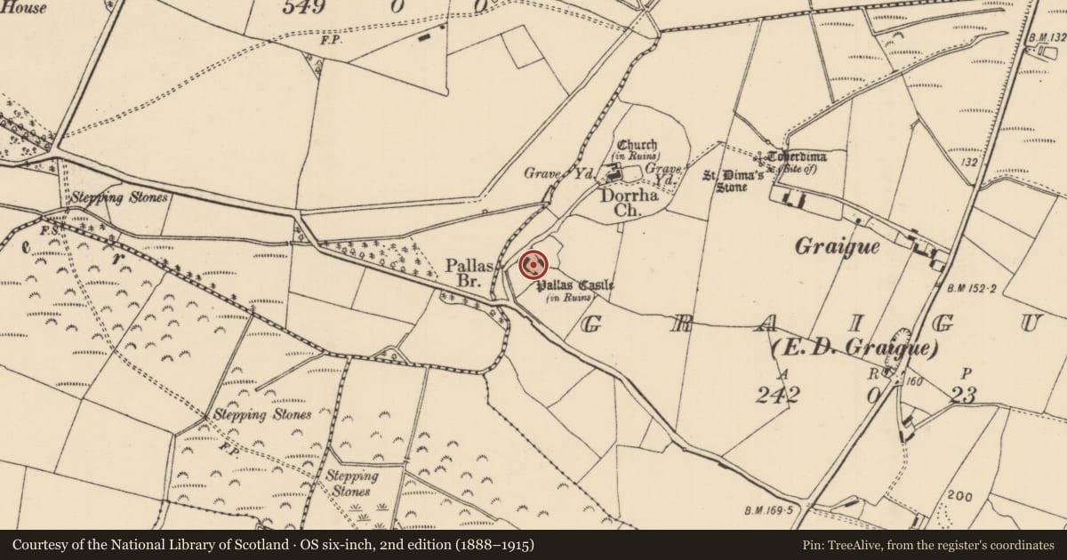 Ordnance Survey six-inch map, 2nd edition (1888–1915) covering the location of Castle - unclassified, Graigue (Dorrha Par.), County Tipperary North, with a pin at the register's coordinates