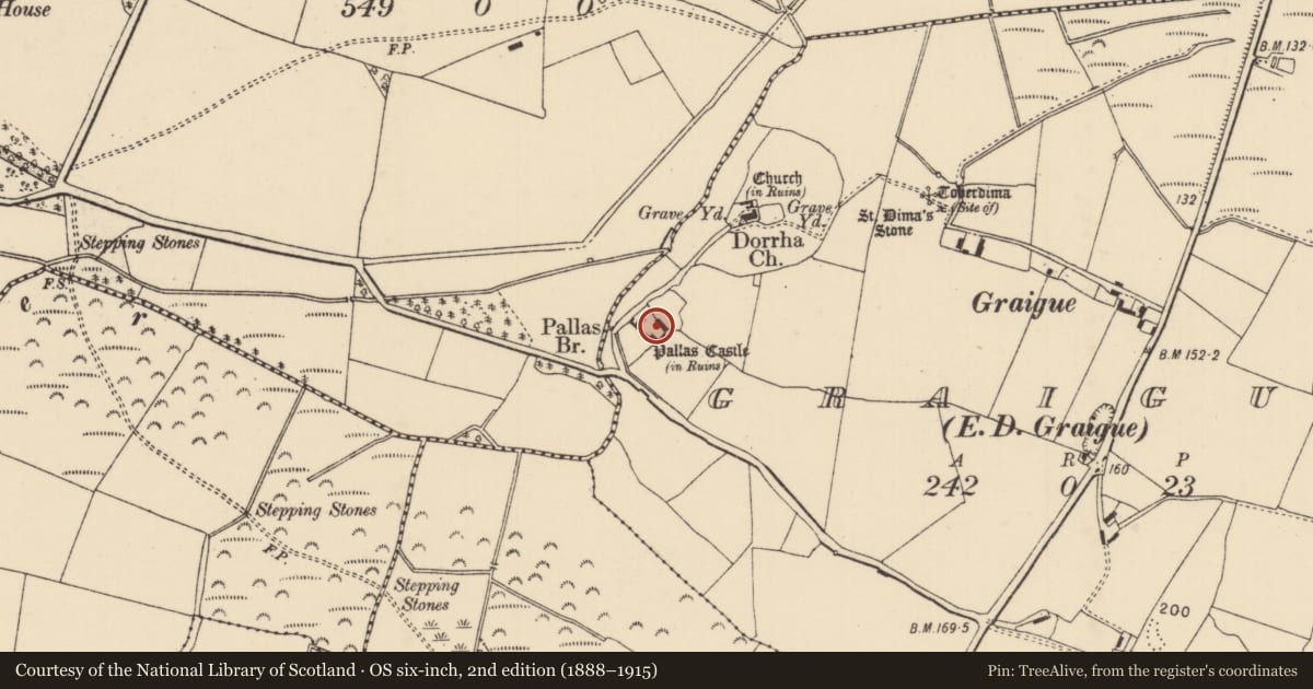 Ordnance Survey six-inch map, 2nd edition (1888–1915) covering the location of Bawn, Graigue (Dorrha Par.), County Tipperary North, with a pin at the register's coordinates