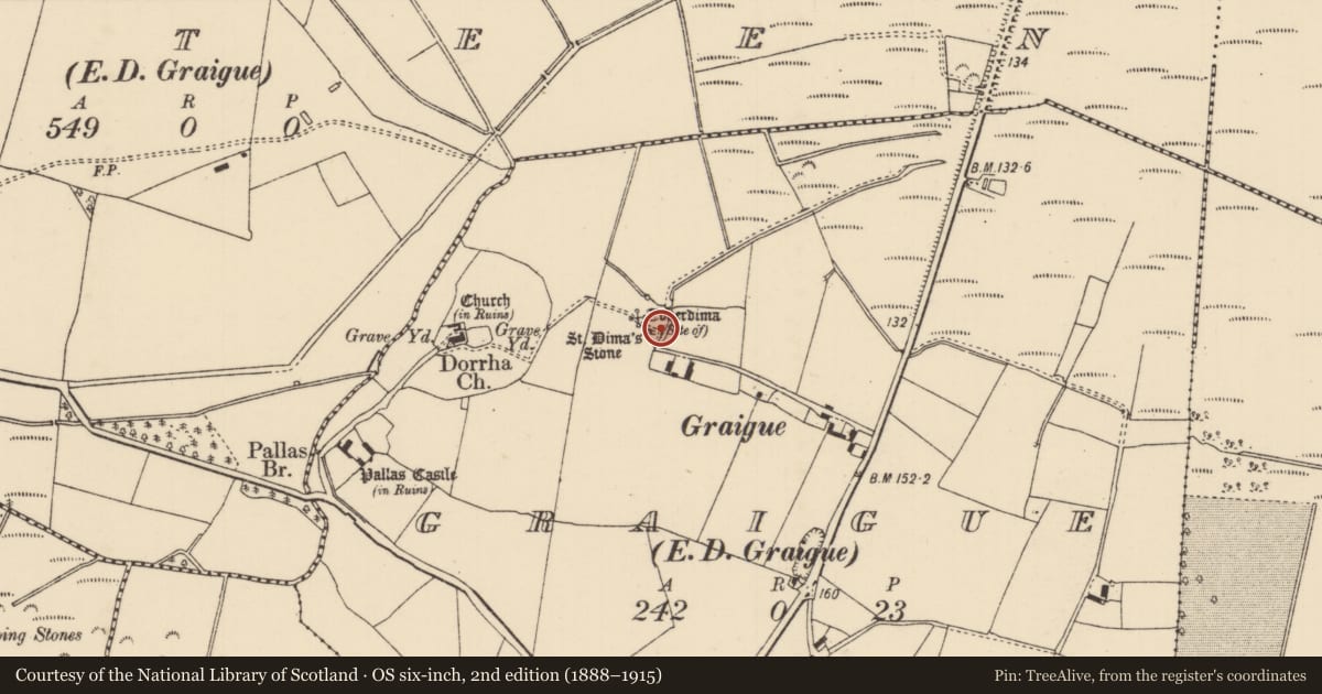Ordnance Survey six-inch map, 2nd edition (1888–1915) covering the location of Ritual site - holy/saint's stone, Graigue (Dorrha Par.), County Tipperary North, with a pin at the register's coordinates