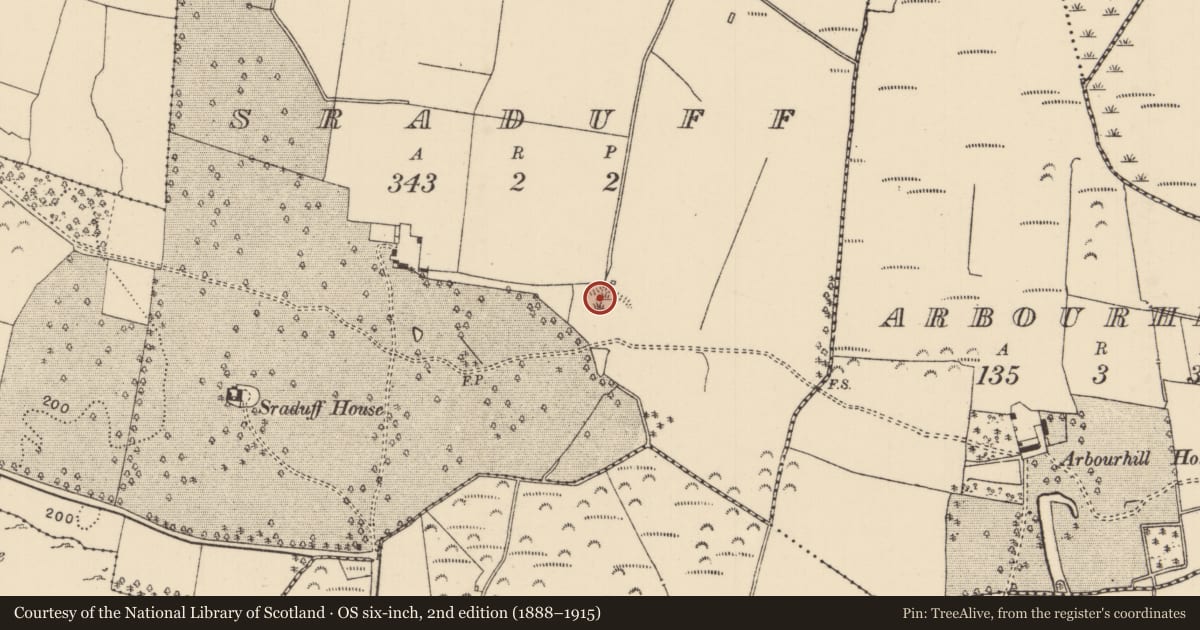 Ordnance Survey six-inch map, 2nd edition (1888–1915) covering the location of Water mill - unclassified, Sraduff, County Tipperary North, with a pin at the register's coordinates