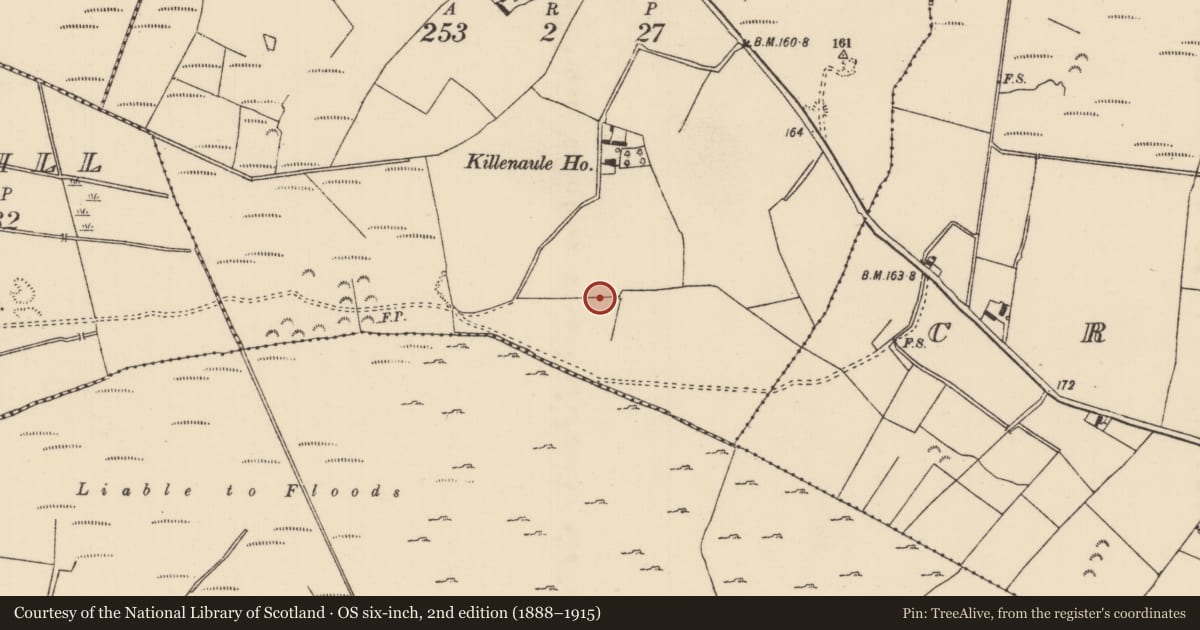 Ordnance Survey six-inch map, 2nd edition (1888–1915) covering the location of Earthwork, Killenaule (Dorrha Par.), County Tipperary North, with a pin at the register's coordinates