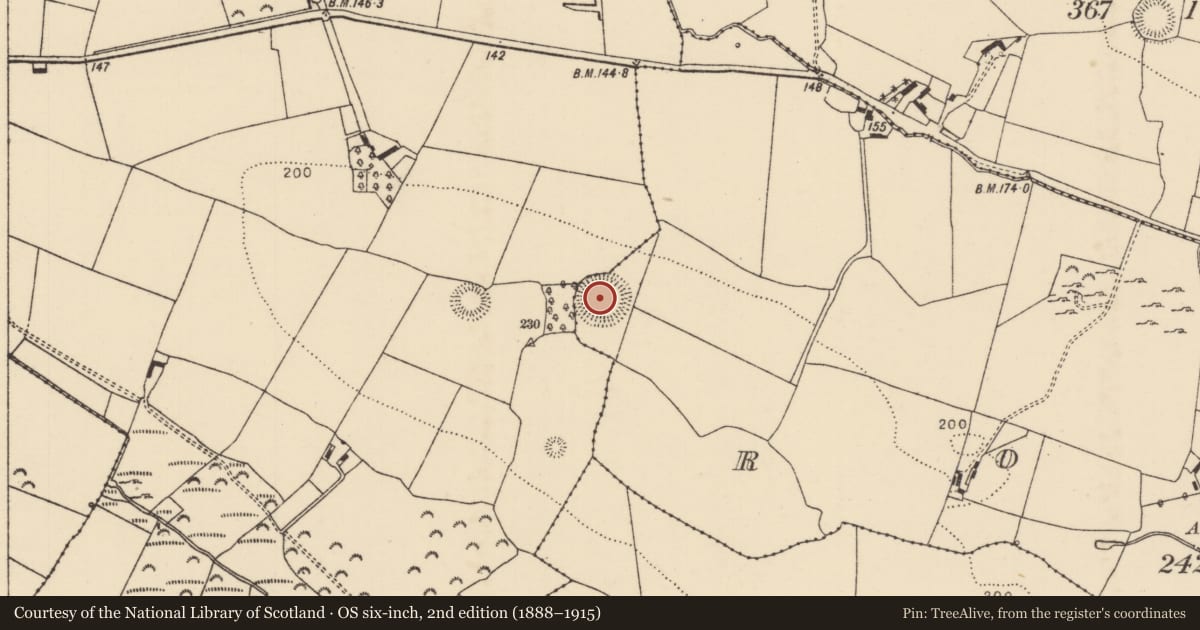 Ordnance Survey six-inch map, 2nd edition (1888–1915) covering the location of Ringfort - rath, Ross (Dorrha Par.), County Tipperary North, with a pin at the register's coordinates
