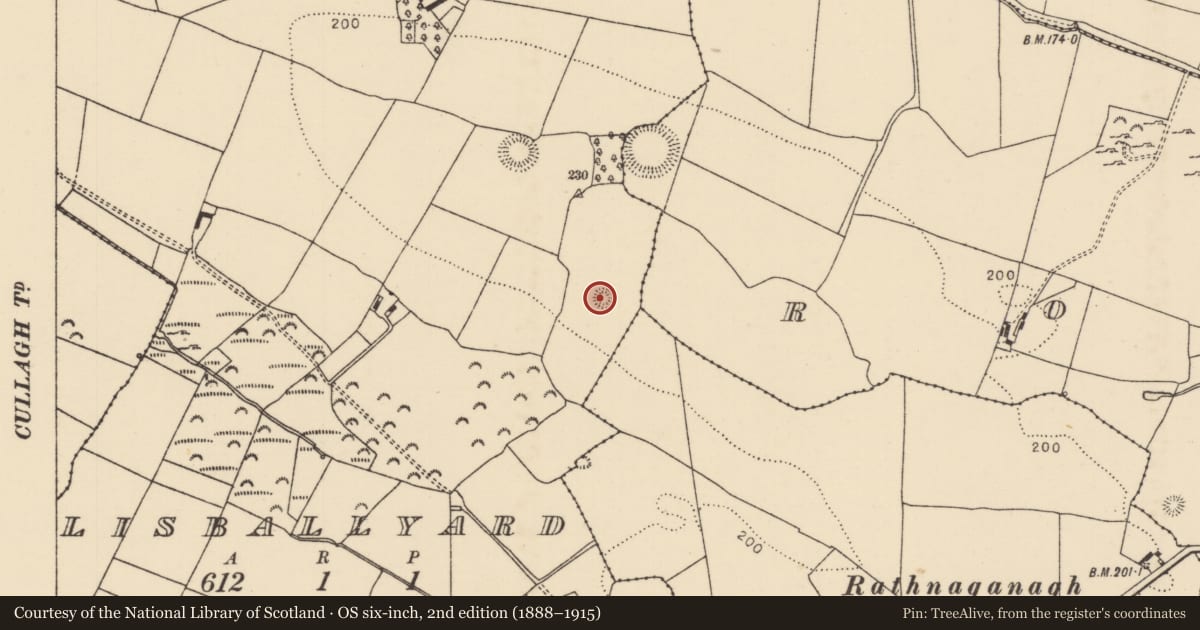 Ordnance Survey six-inch map, 2nd edition (1888–1915) covering the location of Enclosure, Lisballyard, County Tipperary North, with a pin at the register's coordinates