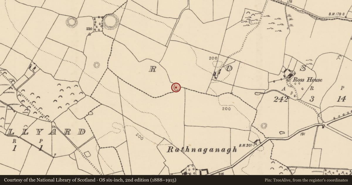 Ordnance Survey six-inch map, 2nd edition (1888–1915) covering the location of Enclosure, Ross (Dorrha Par.), County Tipperary North, with a pin at the register's coordinates