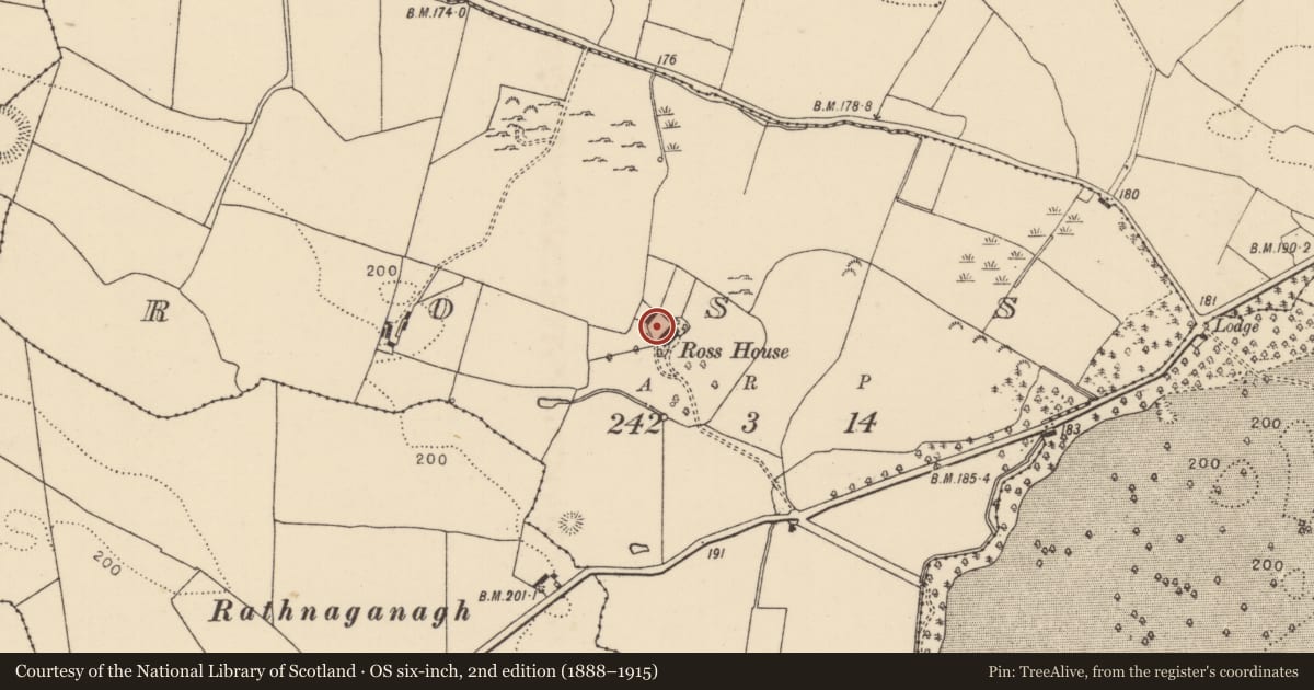 Ordnance Survey six-inch map, 2nd edition (1888–1915) covering the location of Church, Ross (Dorrha Par.), County Tipperary North, with a pin at the register's coordinates