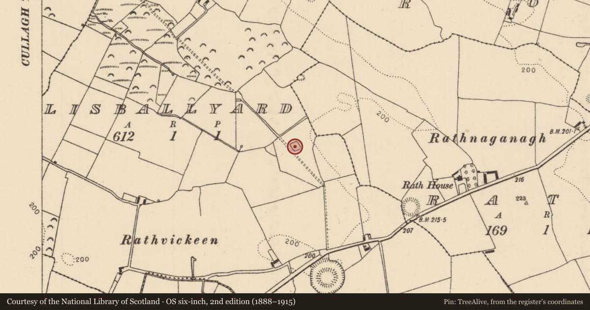 Ordnance Survey six-inch map, 2nd edition (1888–1915) covering the location of Moated site, Lisballyard, County Tipperary North, with a pin at the register's coordinates