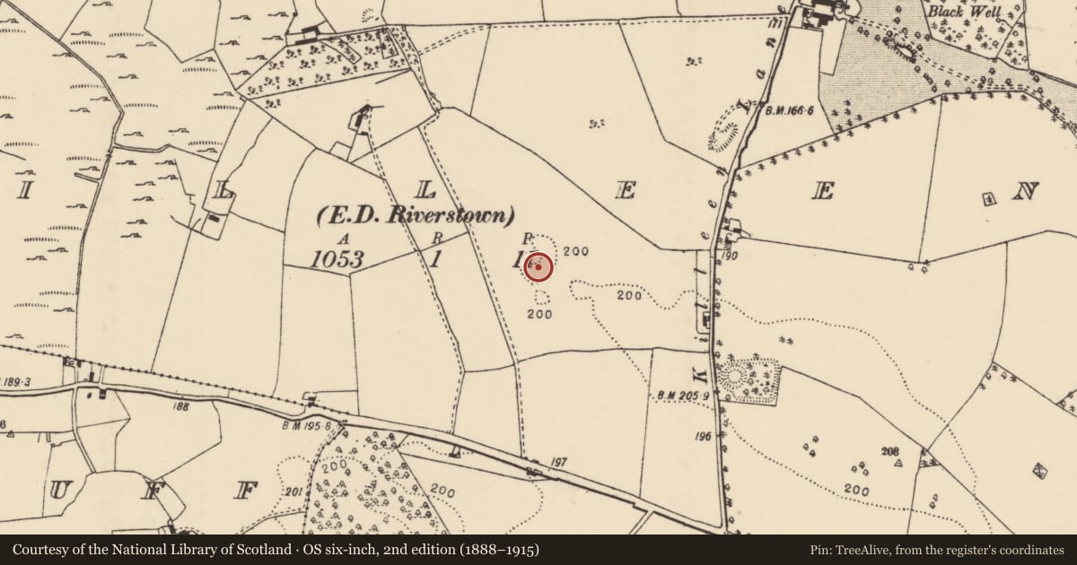 Ordnance Survey six-inch map, 2nd edition (1888–1915) covering the location of Earthwork, Killeen (Loughkeen Par.), County Tipperary North, with a pin at the register's coordinates