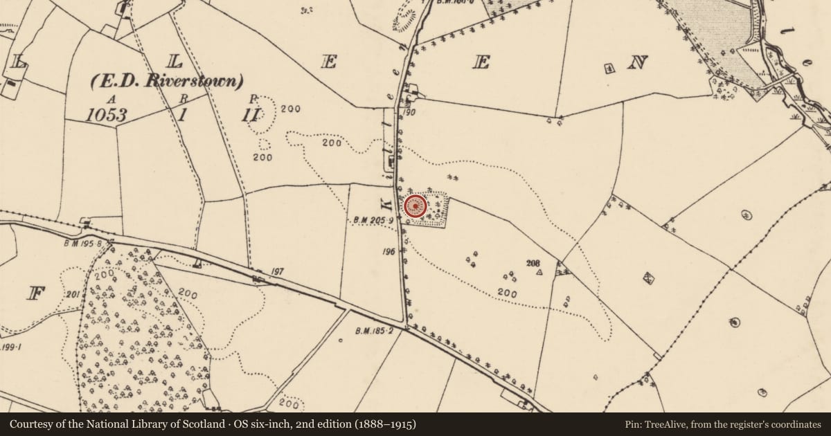 Ordnance Survey six-inch map, 2nd edition (1888–1915) covering the location of Castle - motte and bailey, Killeen (Loughkeen Par.), County Tipperary North, with a pin at the register's coordinates